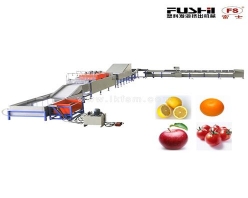 哈爾濱FS-QXDL型果品清洗打蠟分選機